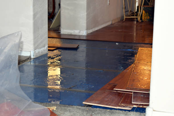 Professional Flood Damage Repair technician working in Potterville, MI